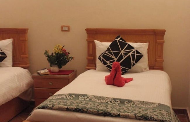 Morning Star - Foto 4