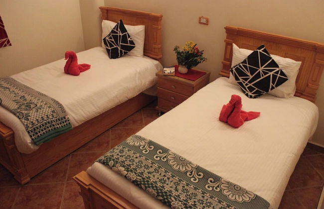 Morning Star - Foto 5