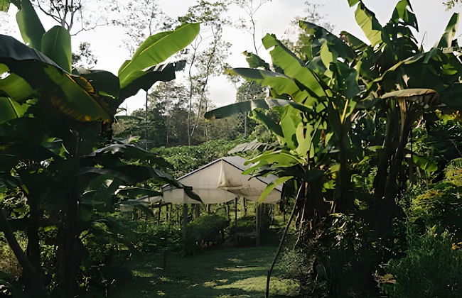 Balsa Nueva Lodge - Foto 19