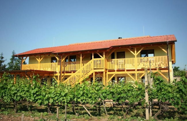 PENZION POD PALAVU - Foto 1