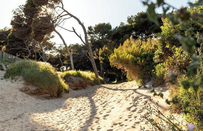 Villa de La Madrague – Presqu’île de Giens - Foto 49