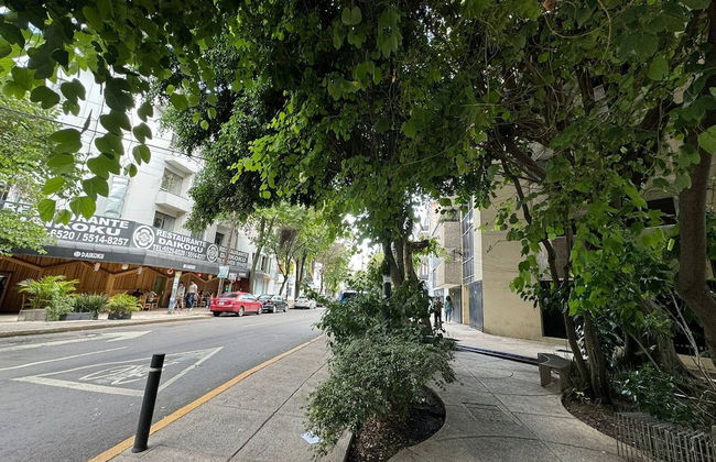 Apartment Near Reforma Agel - Foto 38