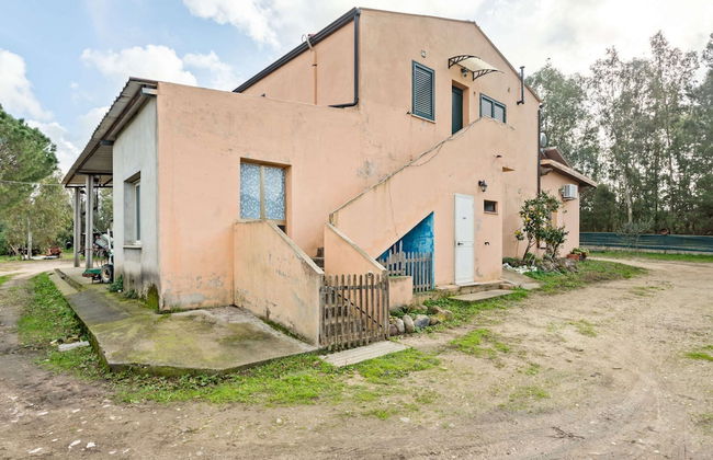 Homes in the Lagoons of Santa Giusta - Foto 30