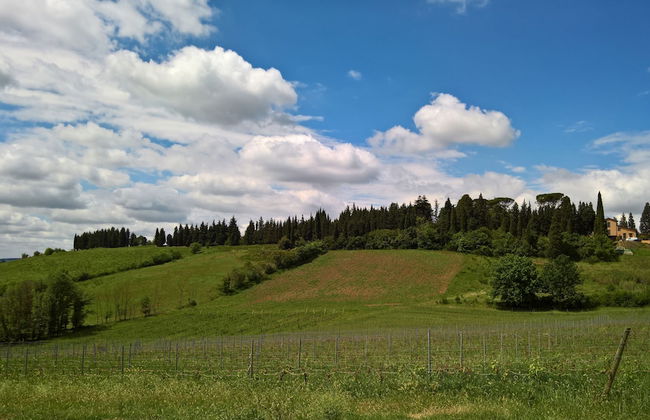 Azienda Agricola I Colli di Marliano - Photo 35