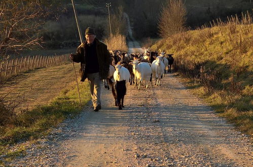 Photo 23 - Azienda Agricola I Colli di Marliano