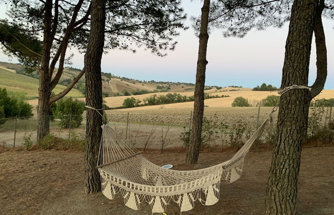 Naturaverde Country House - Foto 47