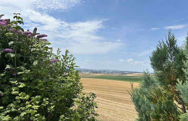 Happy - Foto 52