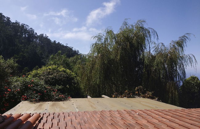 Casas Maravilha Calheta - Foto 57