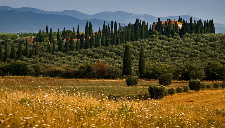 Foto 1 - Tenuta di Poggio Cavallo