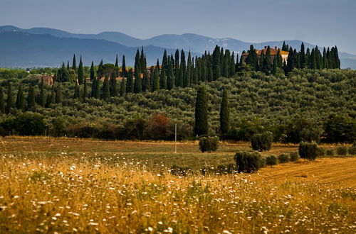 Foto 1 - Tenuta di Poggio Cavallo