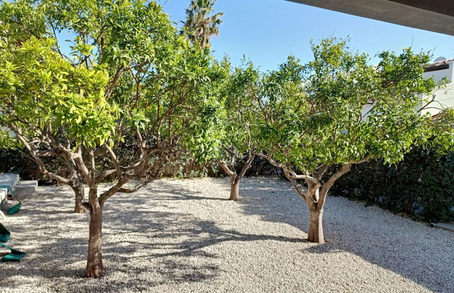 Villa Zoe - Foto 42