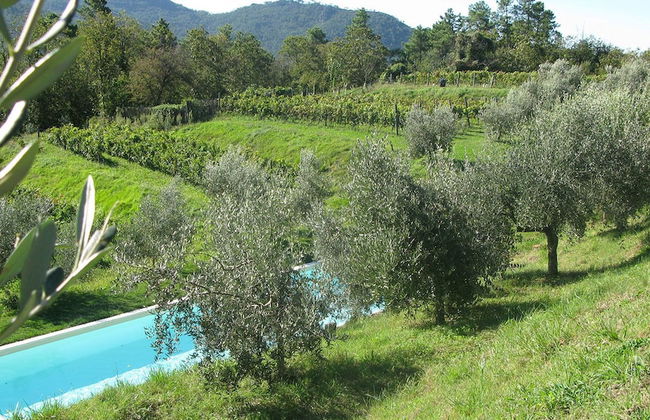 Sostio a Levante Guest House - Foto 15