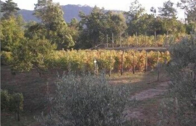 Sostio a Levante Guest House - Foto 36