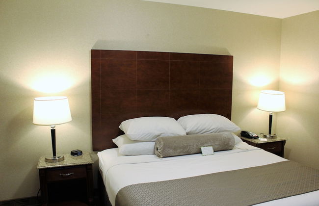 Medallion Inn & Suites - Foto 10