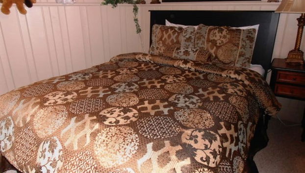 Quarto