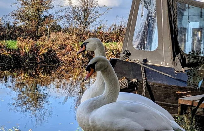 Narrowboat With Hot Tub, Spa, Cruising And More - Foto 15