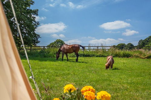 Foto 13 - Star Gazing Bell Tent Farm Stay