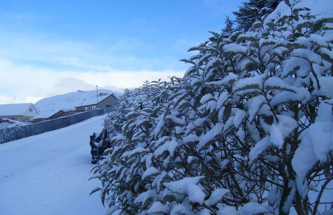 Easterhoull Chalets - Foto 47