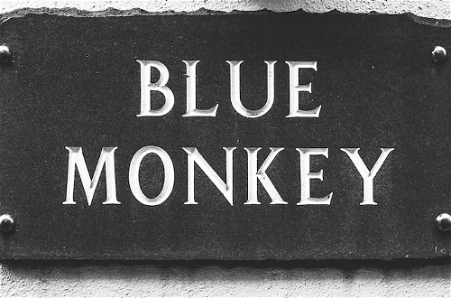 Foto 29 - Blue Monkey