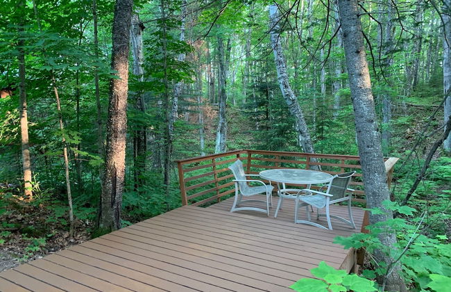 Hauser's Bayfield Cabin - Foto 56