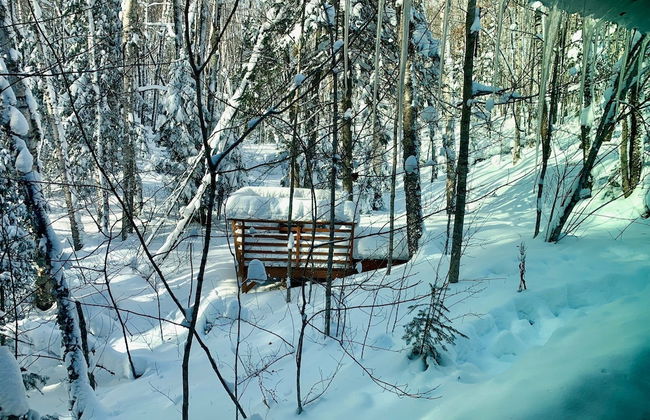 Hauser's Bayfield Cabin - Foto 43