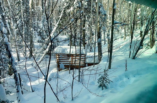 Photo 38 - Hauser's Bayfield Cabin