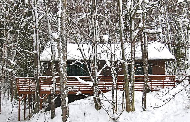Hauser's Bayfield Cabin - Foto 48
