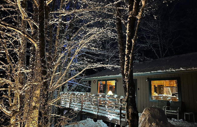 Hauser's Bayfield Cabin - Foto 64