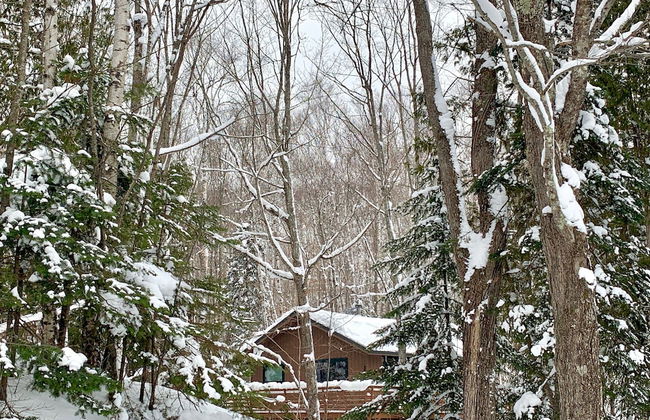 Hauser's Bayfield Cabin - Foto 42