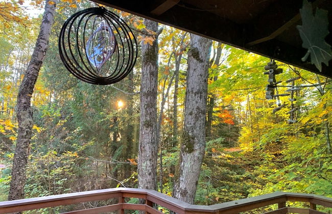 Hauser's Bayfield Cabin - Foto 68