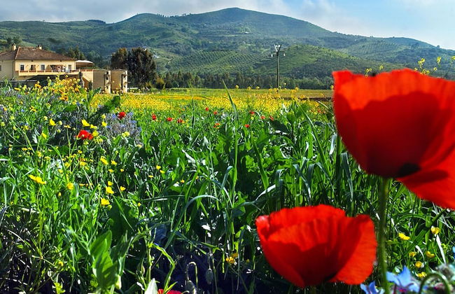 Agriturismo La Petrosa - Foto 1