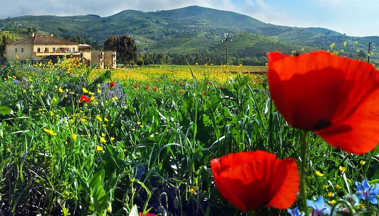 Photo 1 - Agriturismo La Petrosa