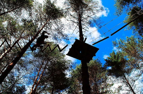 Photo 11 - Bungalows da Peneda