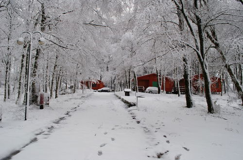 Photo 17 - Bungalows da Peneda