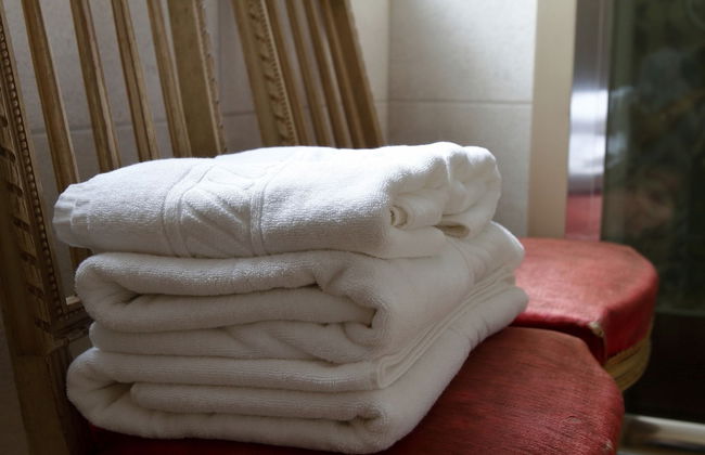 Appart'Hotel Hotel Saint Georges - Foto 50