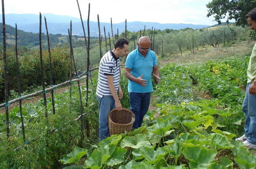 Photo 30 - Agriturismo Santa Caterina