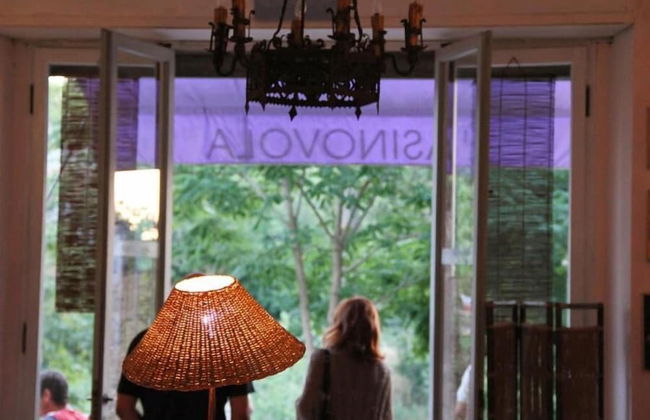 L'Asino Vola - Foto 43