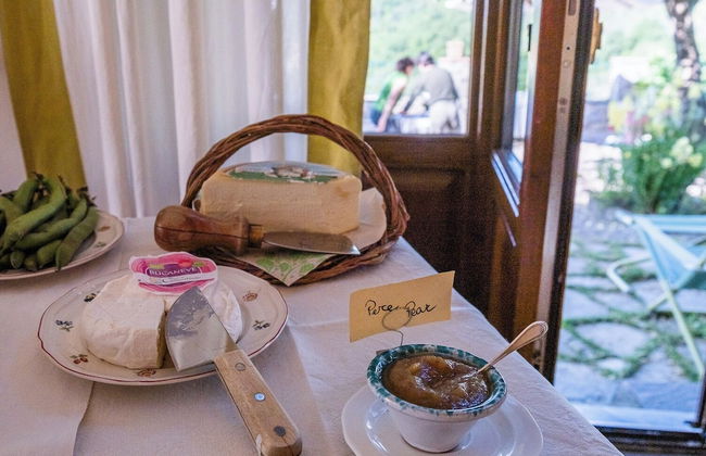 Villa di Campolungo Agriturismo - Foto 1