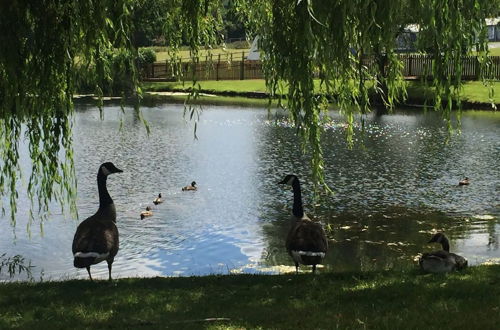 Photo 58 - Mellington Hall Country House Hotel