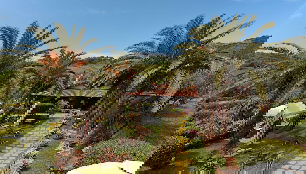 Primary image
