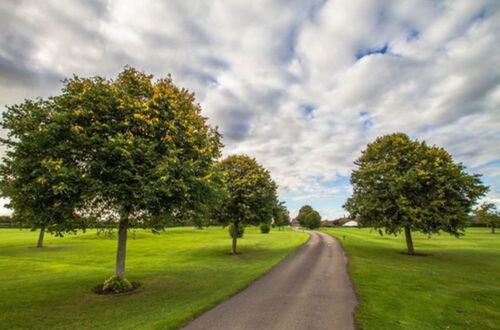 Foto 38 - Mendip Spring Golf Club