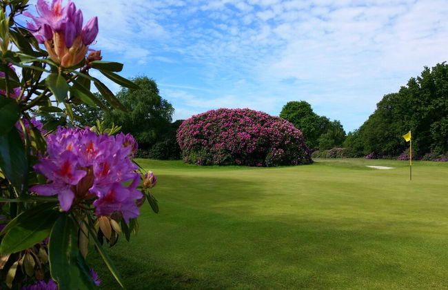 The Dorset Resort - Foto 69