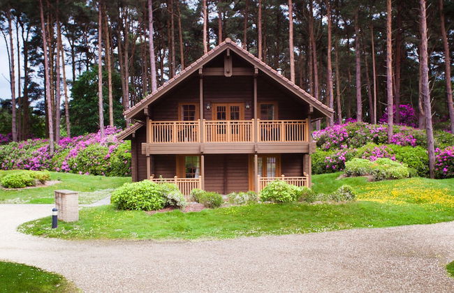 The Dorset Resort - Foto 12