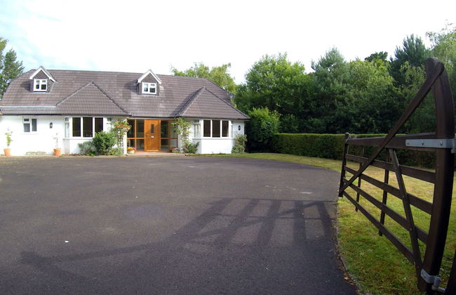 The Dorset Resort - Foto 2