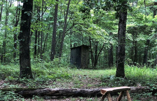 Hickory Hill Cabin Rentals - Foto 26