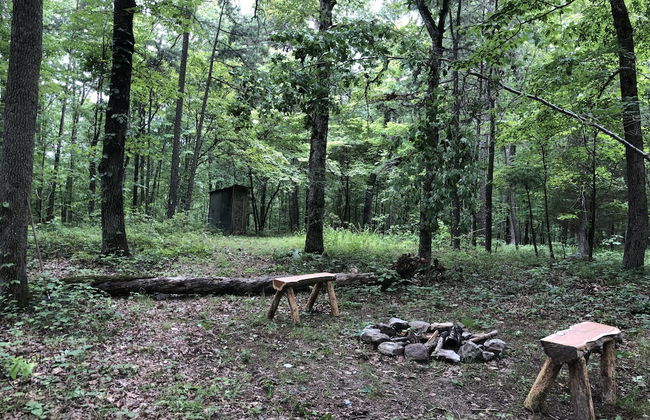 Hickory Hill Cabin Rentals - Foto 24