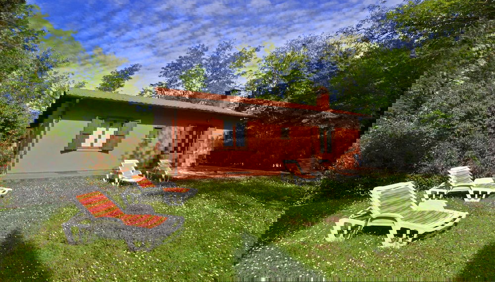 Imagem principal