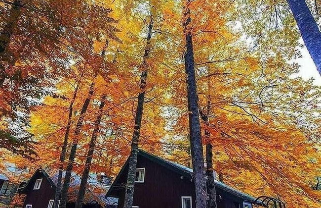 Habitat Mesire Evleri - Foto 46