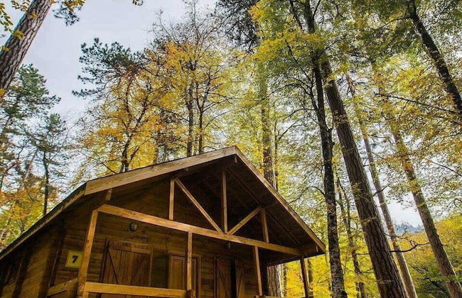 Habitat Mesire Evleri - Foto 47