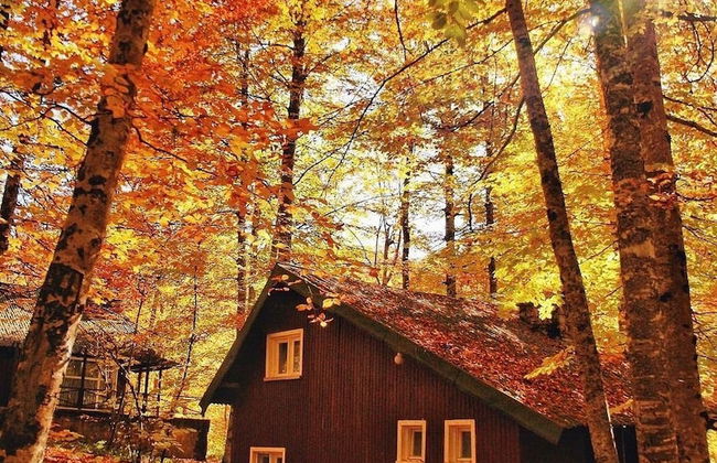 Habitat Mesire Evleri - Foto 27